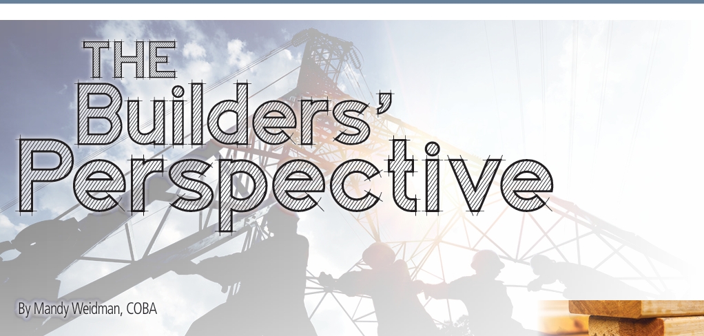 Article: The Builders' Perspective